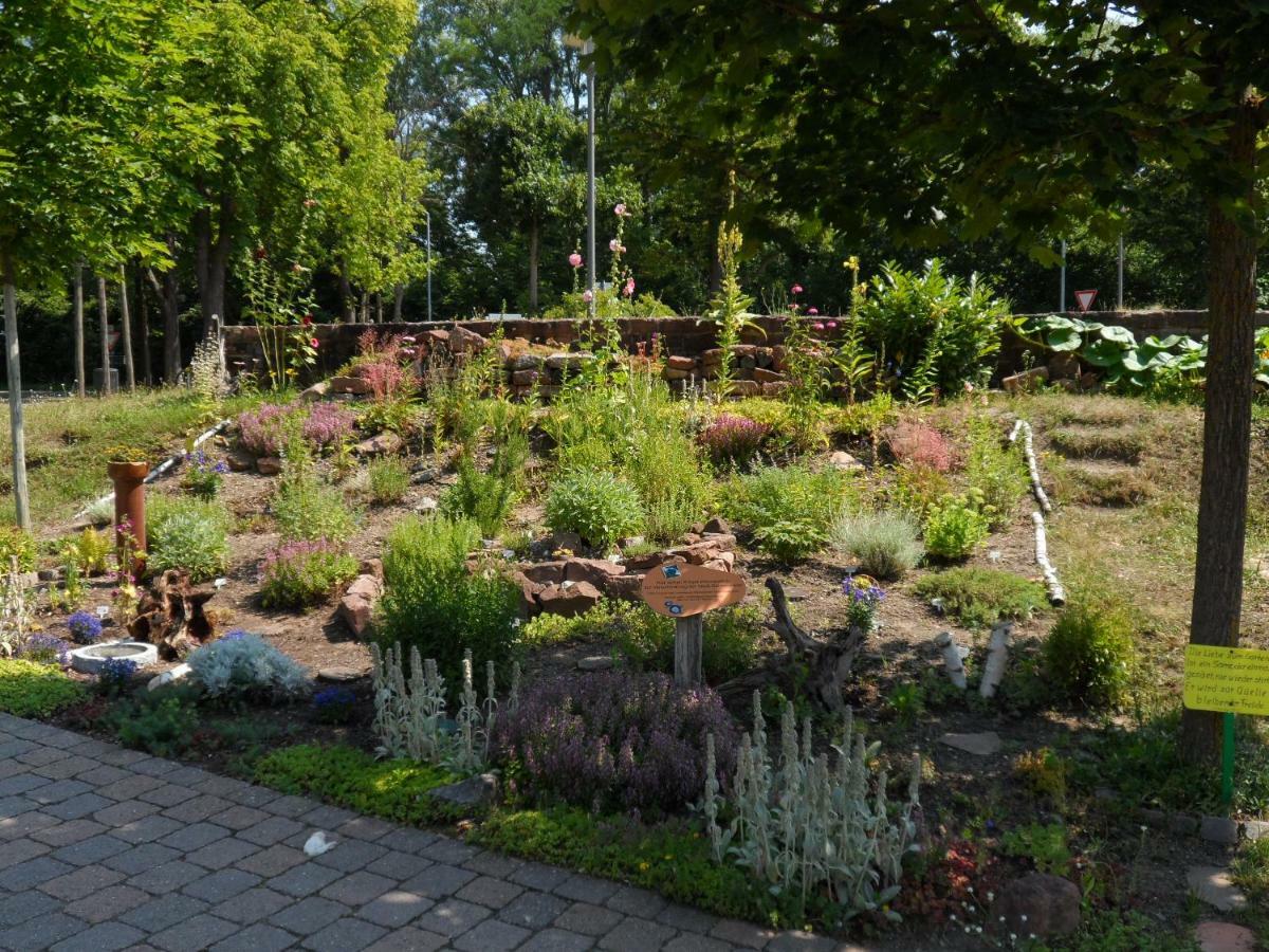 Ferienwohnung Orchidee Germersheim Bagian luar foto