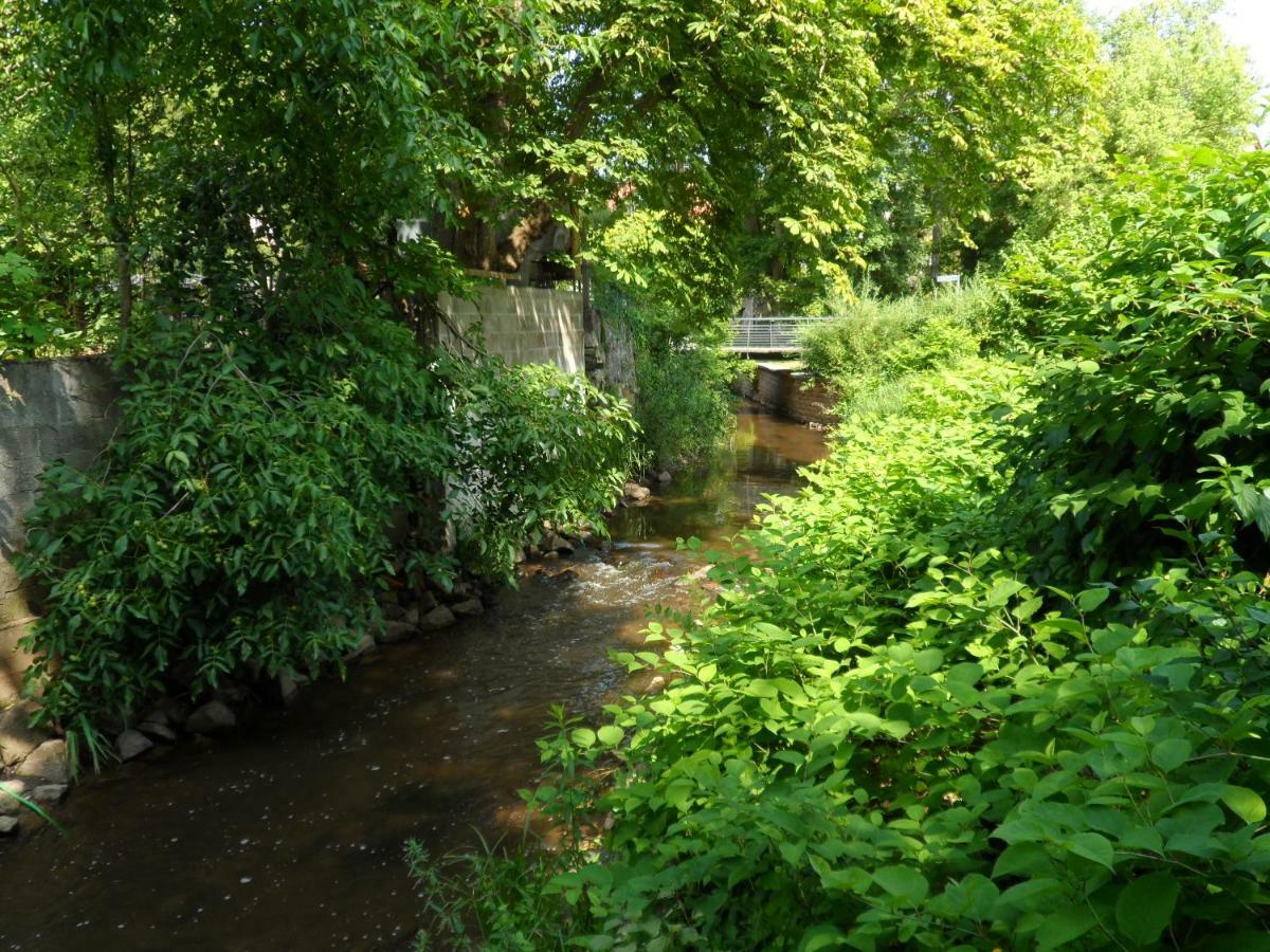 Ferienwohnung Orchidee Germersheim Bagian luar foto